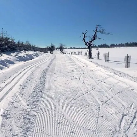 In - Erzgebirge 1672 * Pernink