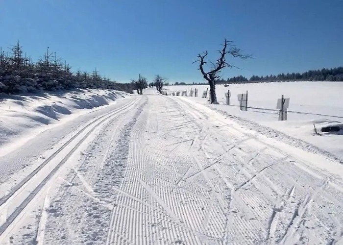 In - Erzgebirge 1672 * Pernink